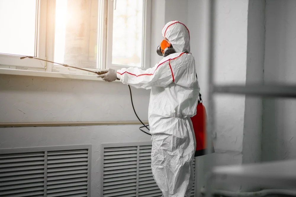 Professional mold remediation services in Rice, TX